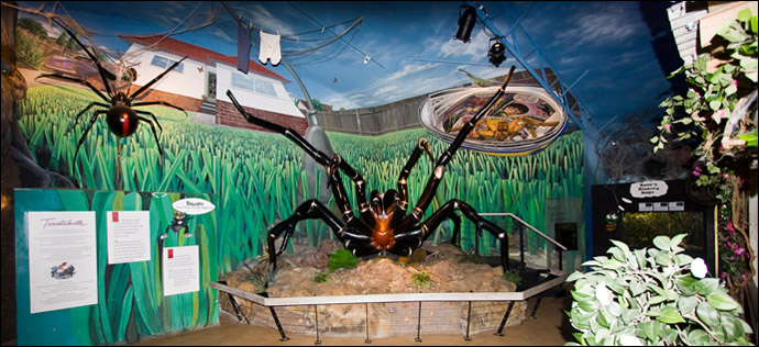 Animatronic Funnel-web in situ